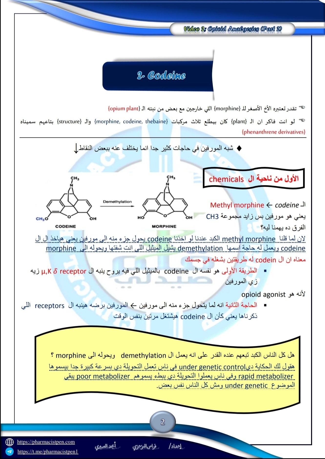 تفريغات الفيديو الثاني 2 دكتور فوده Opioid analgesics part2 شابتر CNS
